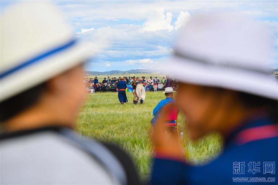 (特別的暑期生活·圖片故事)(11)草原女孩錫林花的暑期“歡樂時光”