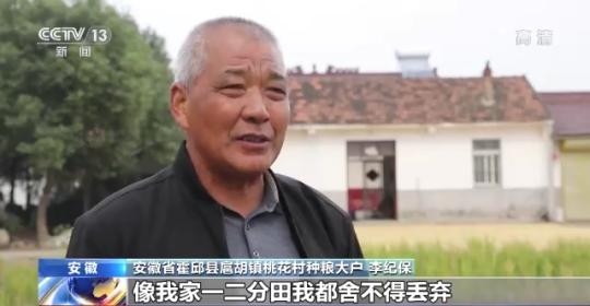 十八連豐！秋收近九成 我國(guó)糧食產(chǎn)能穩(wěn)步提升