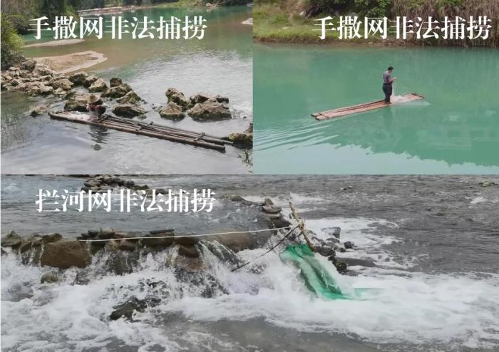 2021年9—10月，前期暗查發(fā)現(xiàn)，保護(hù)區(qū)核心區(qū)內(nèi)非法捕撈行為十分猖獗