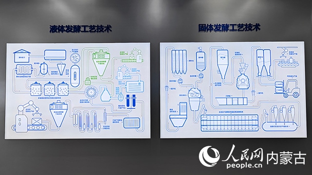 科拓生物工藝技術展示。人民網(wǎng)記者 張雪冬攝