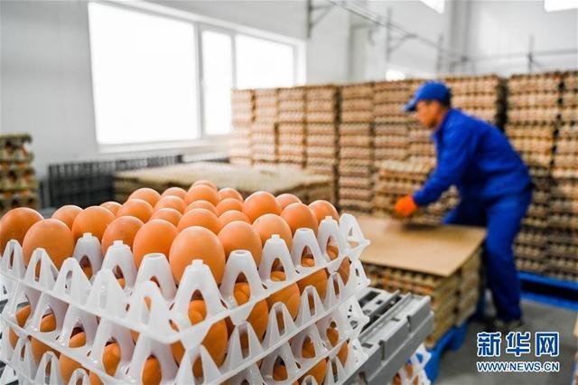 1604387603254065.jpeg 5531_15.jpeg