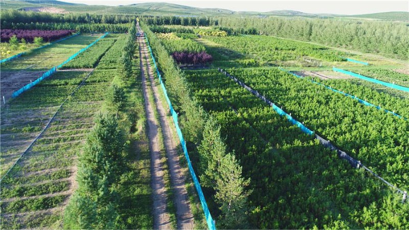 1630382087332162.jpg 微信圖片_20210831114321.jpg