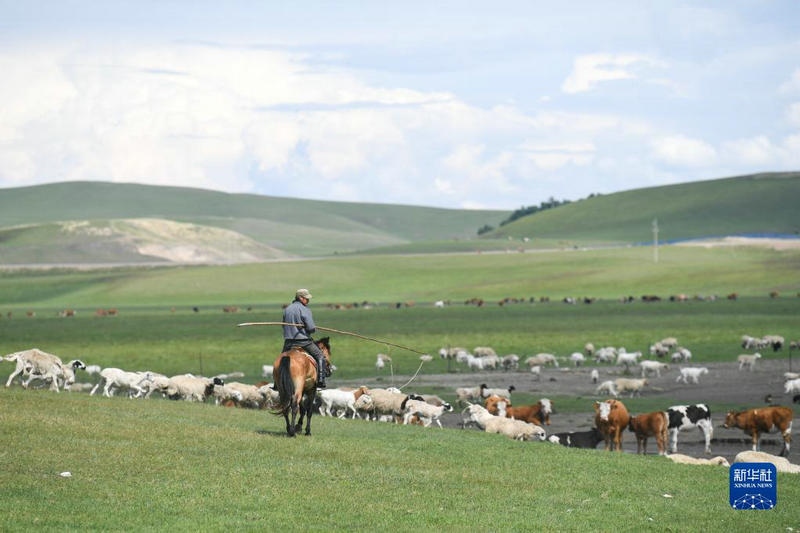 1656664535932584.jpg 00300572896_6c0c5822_副本.jpg