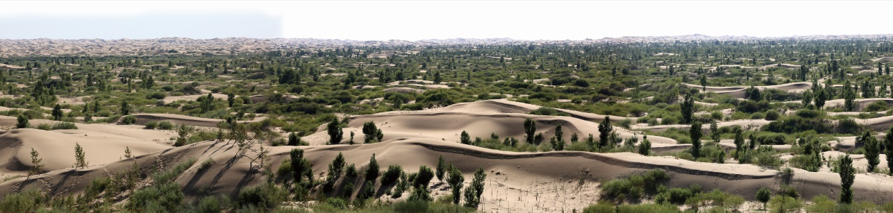 1685955513535745.png 002.png