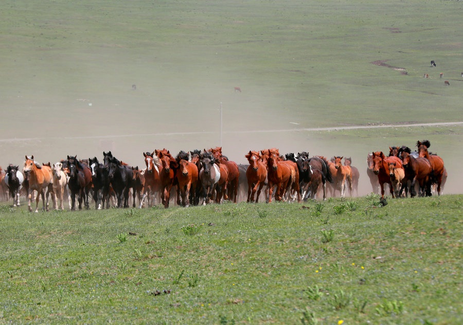 1720694057131401.jpg 20240619113514_副本.jpg