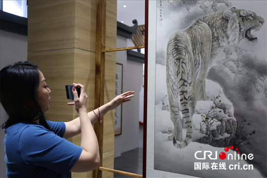 【2023打卡中國(guó)】外國(guó)網(wǎng)紅打卡河南畫虎村 感受鄉(xiāng)村振興“虎虎生威”_fororder_圖片18