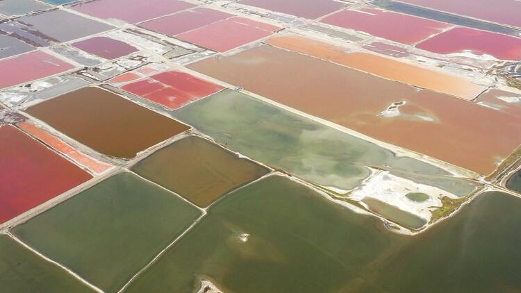 鑒往知來，跟著總書記學(xué)歷史丨走進(jìn)一座博物館，尋根五千年中華文明