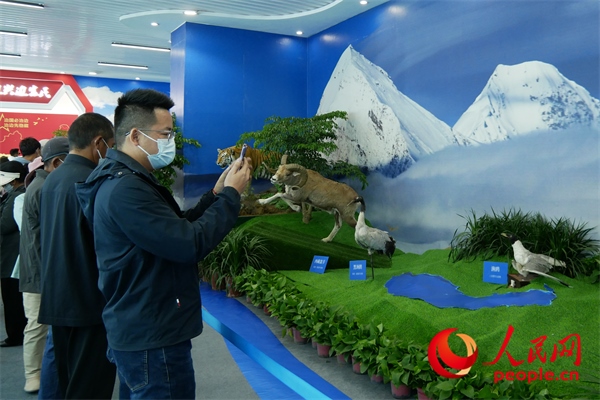 6月17日，觀眾正在觀展。人民網(wǎng) 韋衍行攝