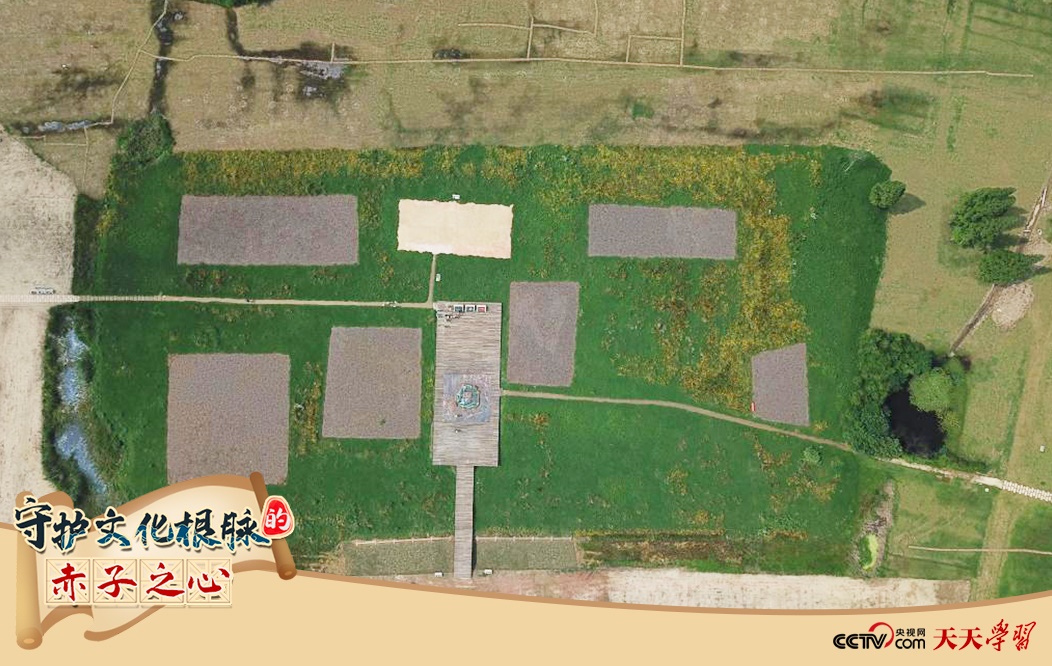 2019年6月23日無人機拍攝的良渚國家考古遺址公園的宮殿區(qū)。
