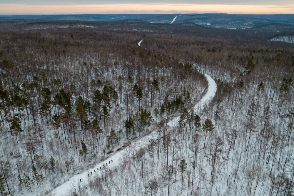 △2023年1月，漠河林場數(shù)十名職工自發(fā)組成的森林撫育隊伍，在人跡罕至的山林中作業(yè)。