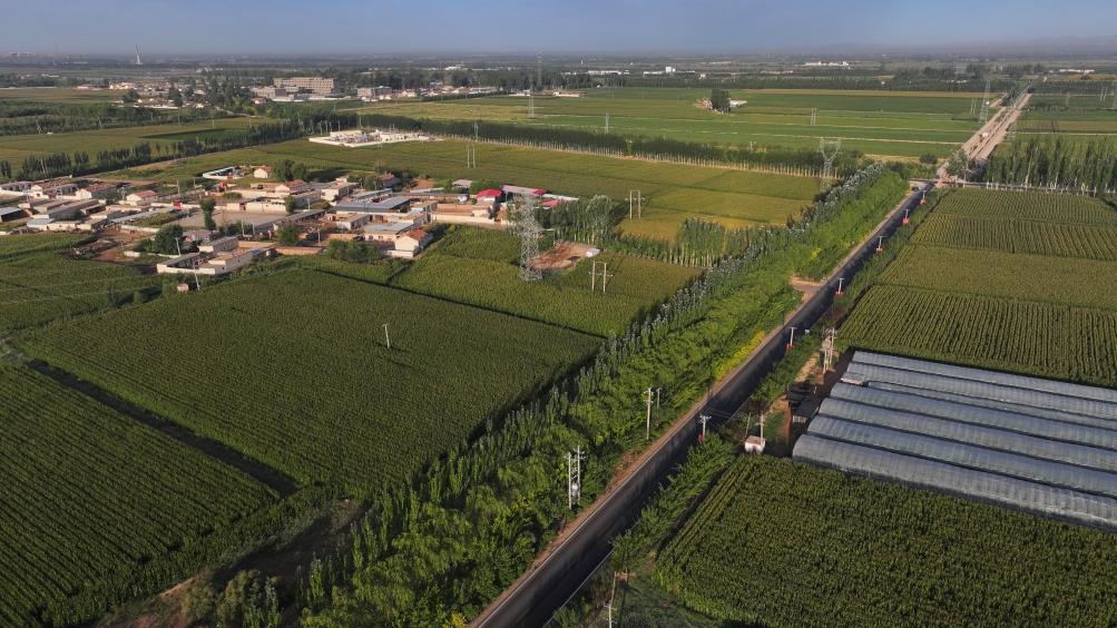 東興村周邊建起防護(hù)林網(wǎng)（無(wú)人機(jī)照片，2023年9月12日攝）。新華社記者李云平 攝