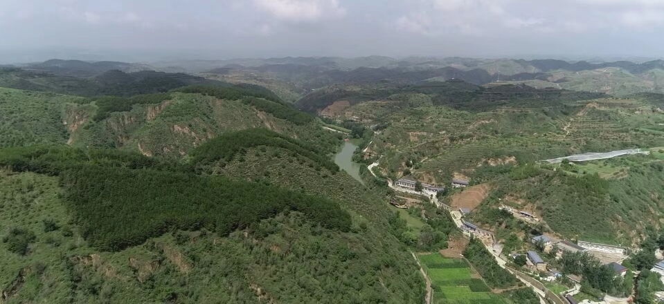 黃土溝壑中的高西溝村滿(mǎn)眼綠色（無(wú)人機(jī)照片，2023年7月26日）。新華社記者陳昌奇 攝