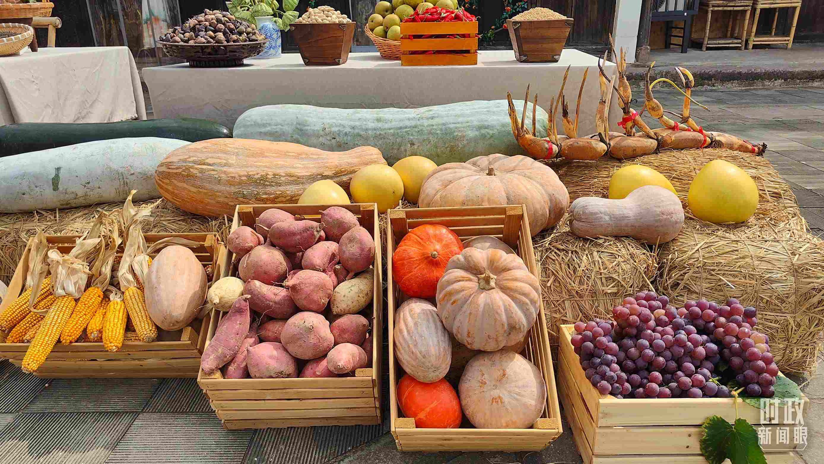 △村廣場“共富市集”，擺放著種類豐富的特色農(nóng)產(chǎn)品。（總臺央視記者楊立峰拍攝）