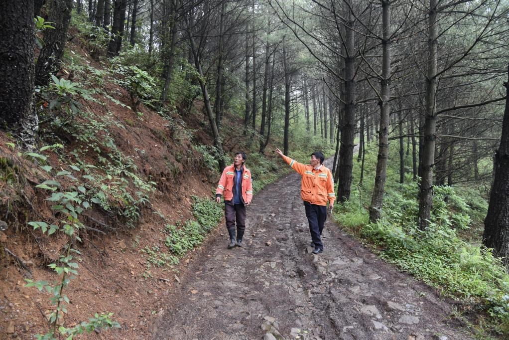 海雀村生態(tài)護(hù)林員馬正安（左）和海雀村林管員王光德（右）在日常巡山護(hù)林。新華社記者 李凡 攝