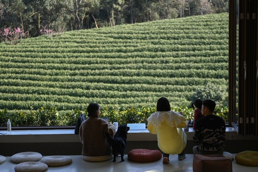 游客在浙江省安吉縣黃杜村萬畝茶園邊的咖啡館休閑（2023年2月21日攝）。