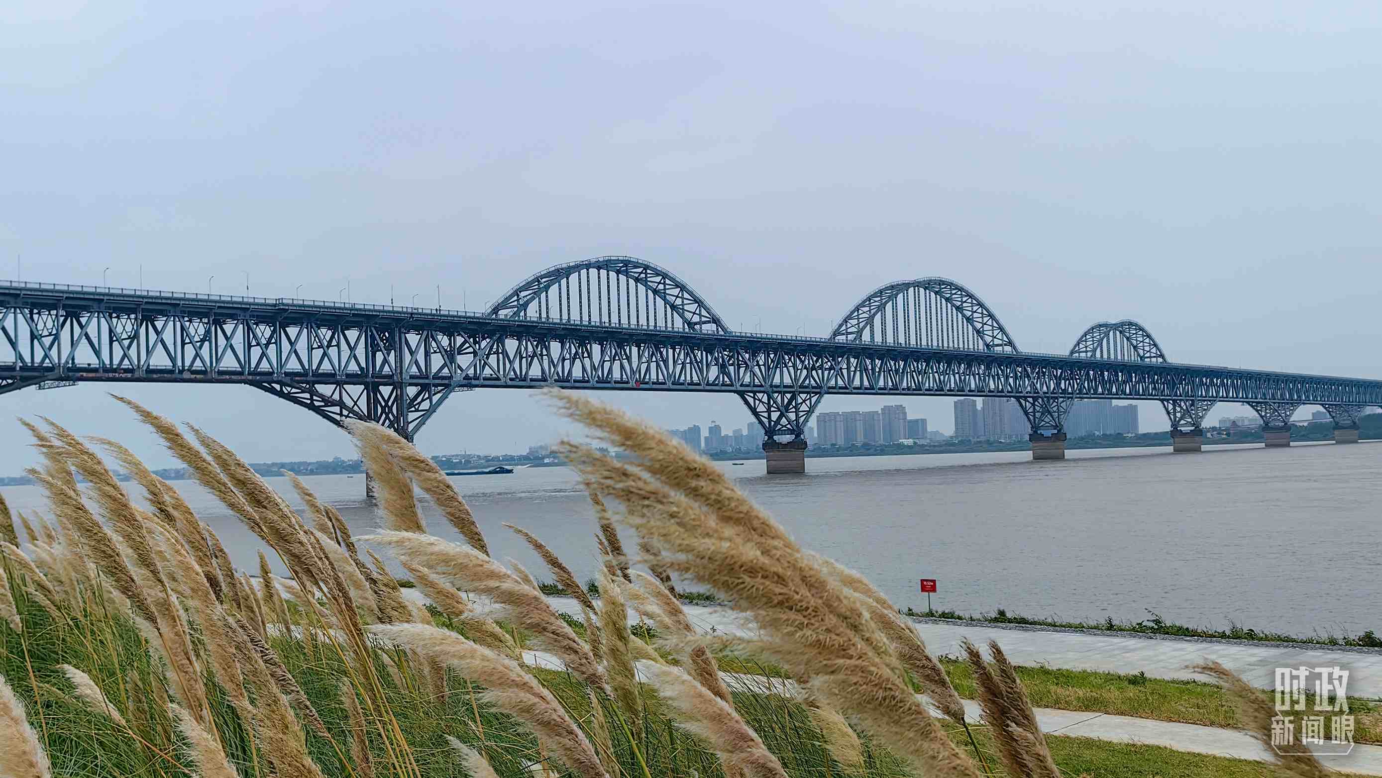 △長江國家文化公園九江城區(qū)段。（總臺央視記者段德文拍攝）