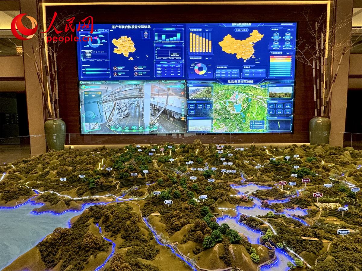 品品香白茶產(chǎn)業(yè)園信息中心數(shù)智化大屏。人民網(wǎng)記者 劉微攝