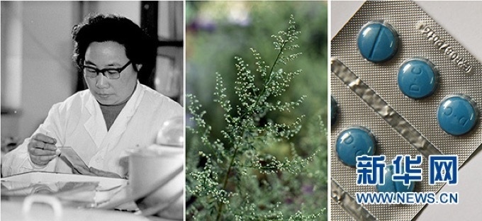 屠呦呦、青蒿和抗瘧疾成藥（拼版資料照片）