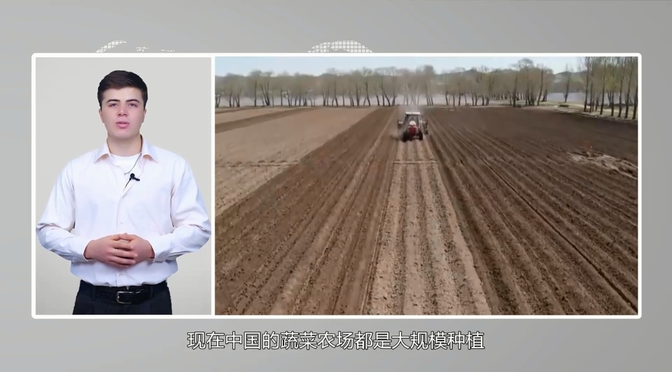 【國際3分鐘】中國大蒜成國家威脅？美政客反智言論背后的問題值得思考_fororder_2