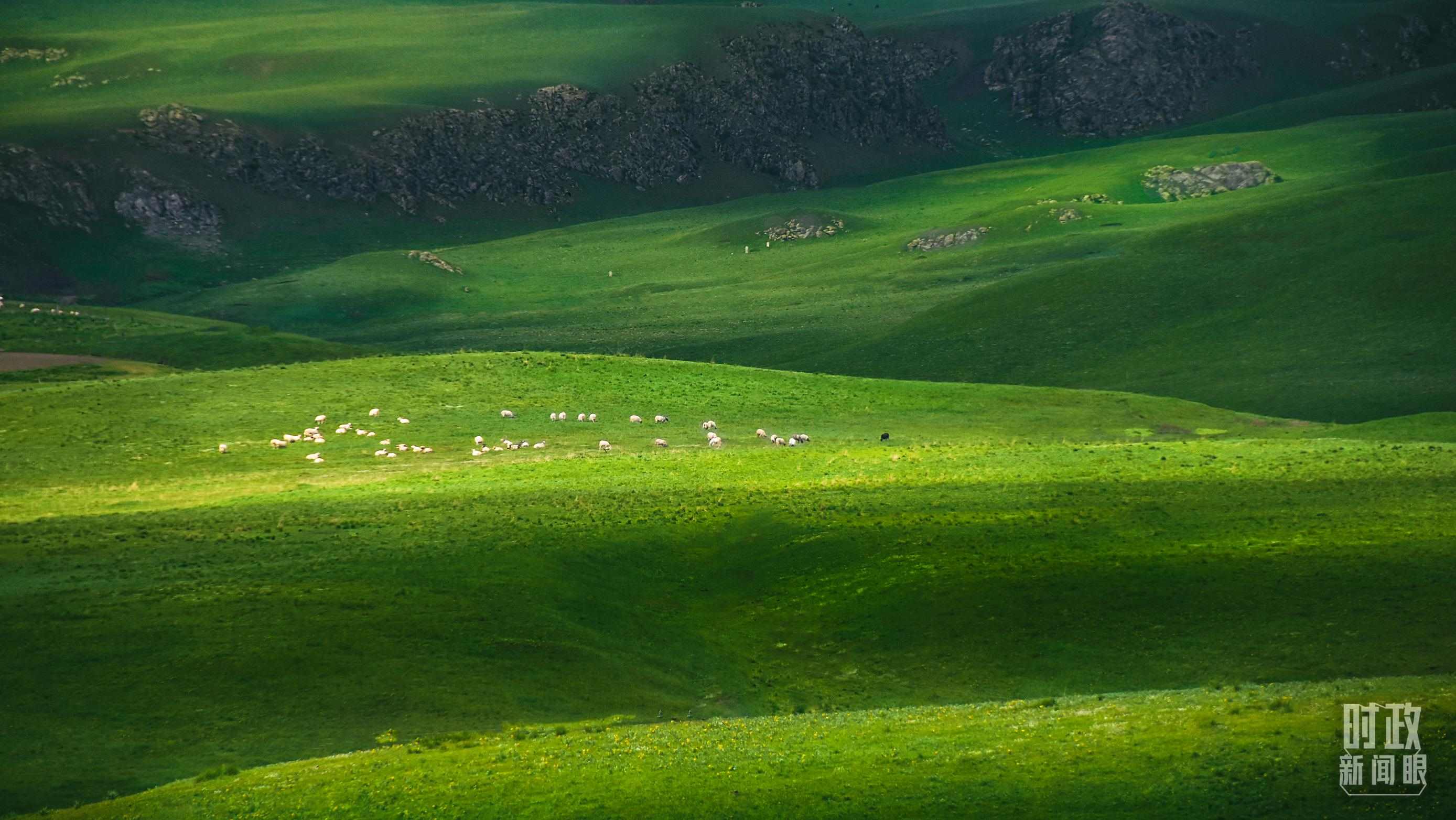 △祁連山草原光影。（圖/視覺中國）