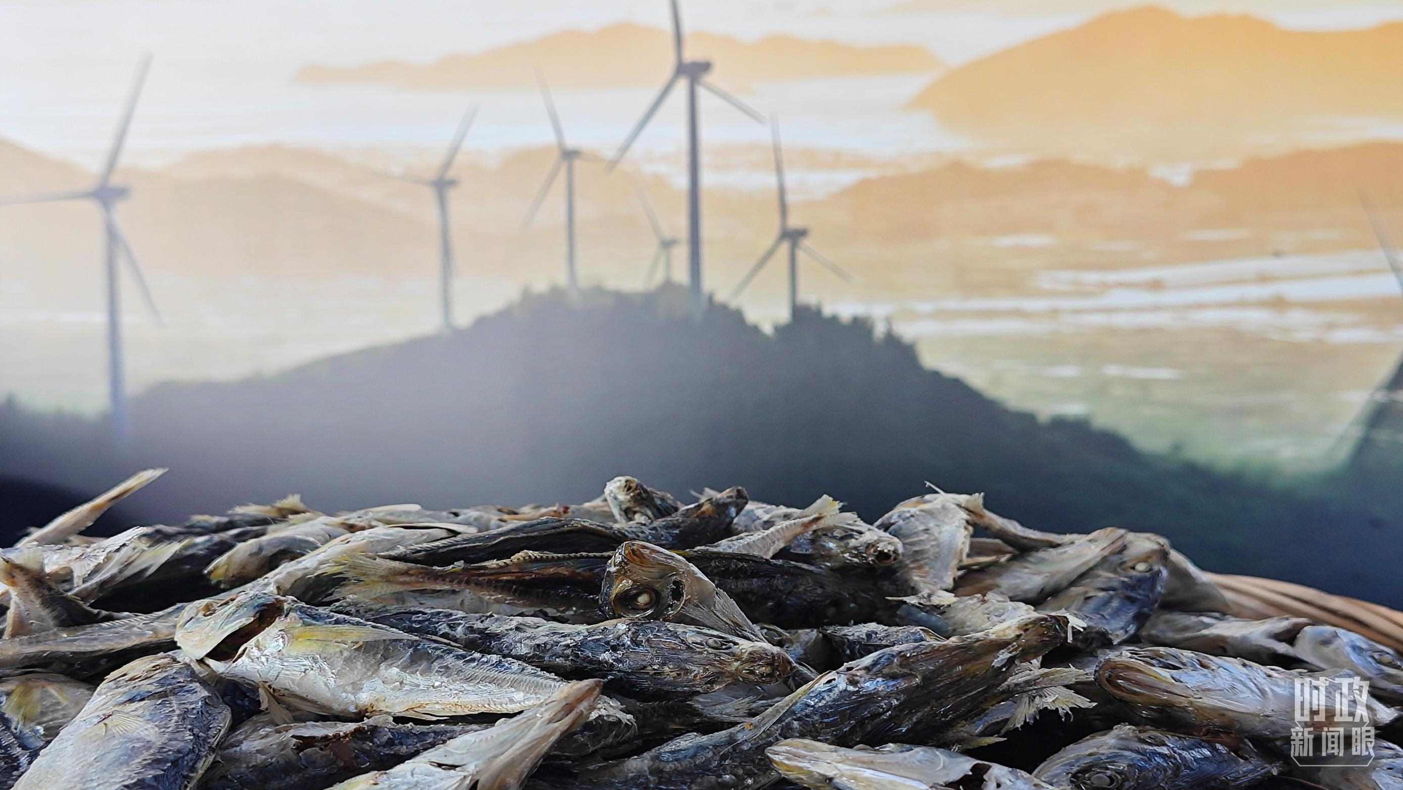 △澳角村的海產(chǎn)品。（總臺央視記者許永松拍攝）