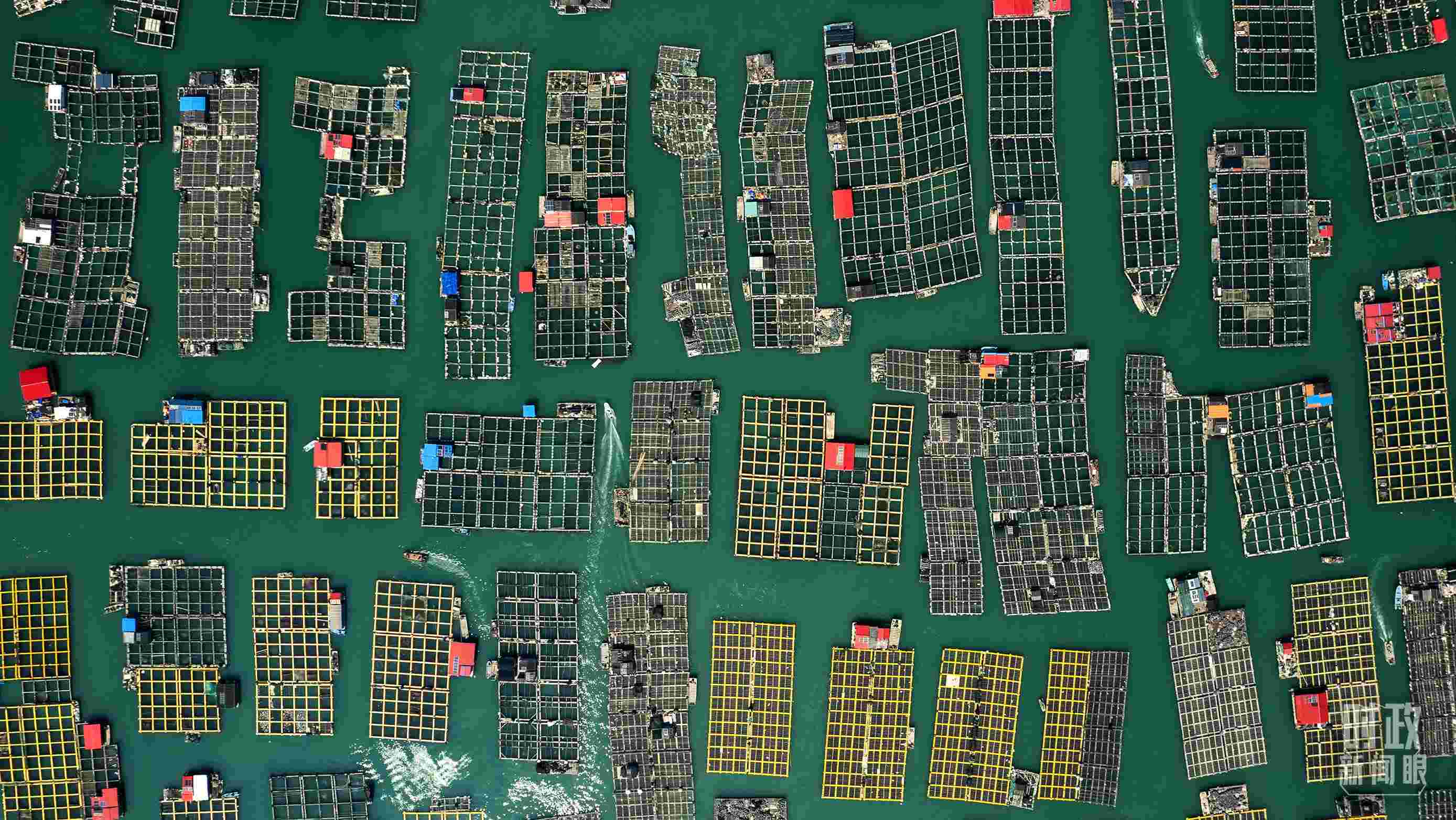 △澳角村。（總臺記者李晉拍攝）