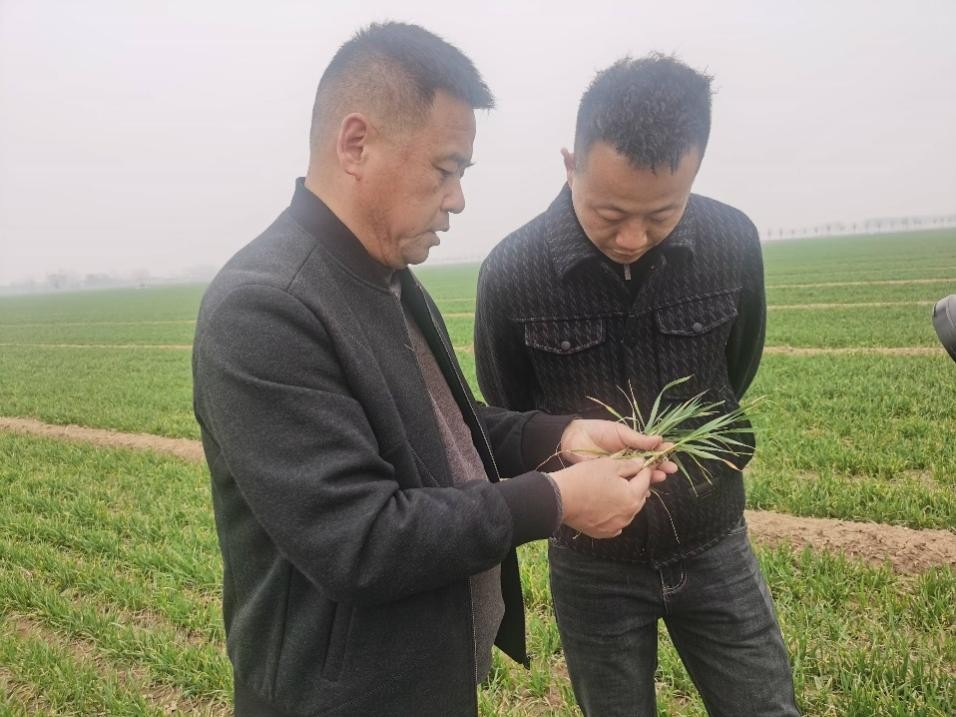在山東濟(jì)寧汶上縣苑莊鎮(zhèn)，農(nóng)技員黃海龍對(duì)種糧大戶王振現(xiàn)場(chǎng)進(jìn)行春耕指導(dǎo)。人民網(wǎng)記者 車(chē)柯蒙攝